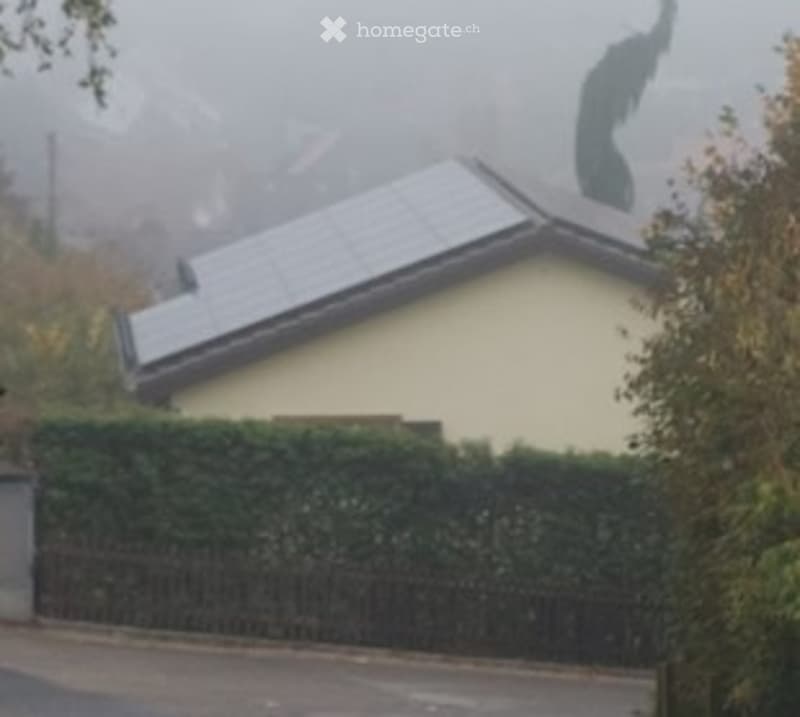 A small, single-story house with a grey roof and solar panels, surrounded by a hedge and a black metal fence.