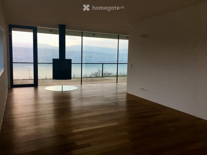 Empty room with wooden flooring, large glass windows offering a scenic view of a lake and mountains, and a modern black chimney.