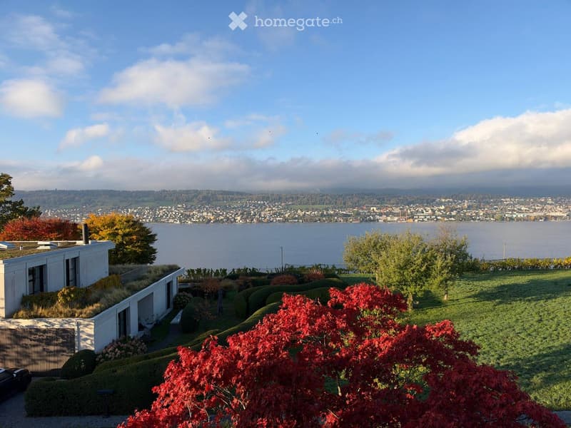 A modern house with a green roof, surrounded by well-maintained gardens and trees, overlooking a lake and cityscape.