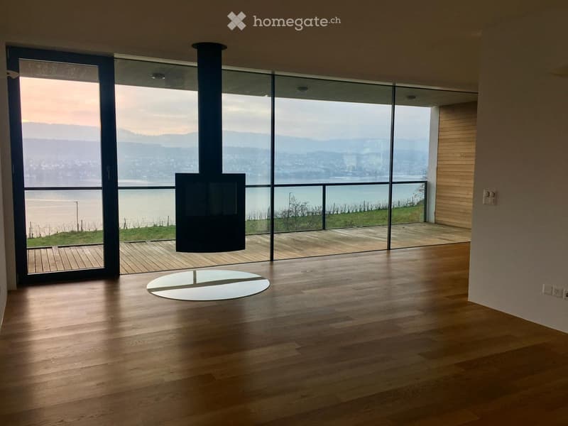 Empty room with wooden flooring, large glass windows offering a scenic view of a lake and mountains, and a modern black fireplace.