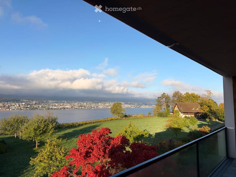Balcony overlooking a scenic view of a lake, cityscape, and surrounding greenery with trees and a house visible in the distance.