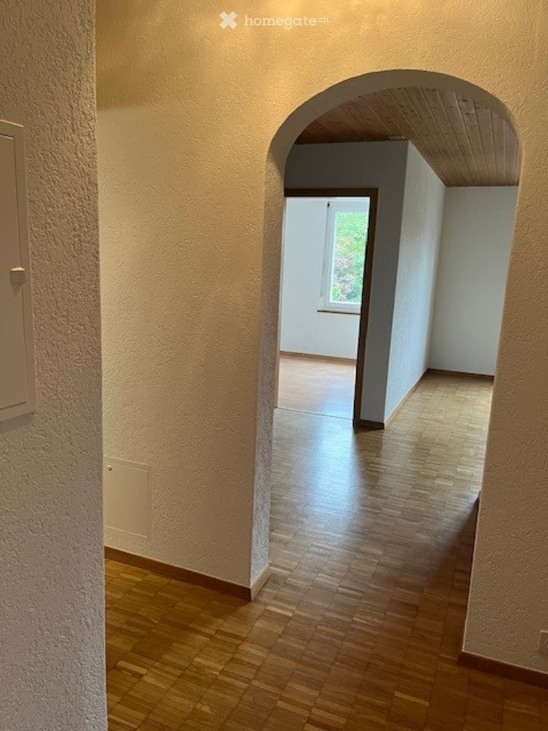 Empty hallway with wooden flooring, arched doorway leading to another room, natural light from a window in the adjacent room.