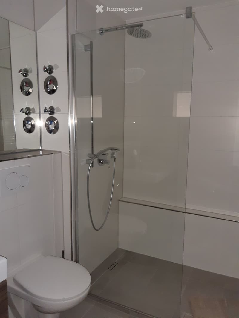 Appartement am Rhein im Dreiländereck, für zwei Personen (Englisch below) (8)