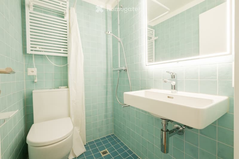 A small bathroom with light green tiled walls and a blue tiled floor. Features include a white toilet, a white sink with a chrome faucet, a shower with a handheld sprayer, a mirror above the sink, and a white towel hanging on a rack.
