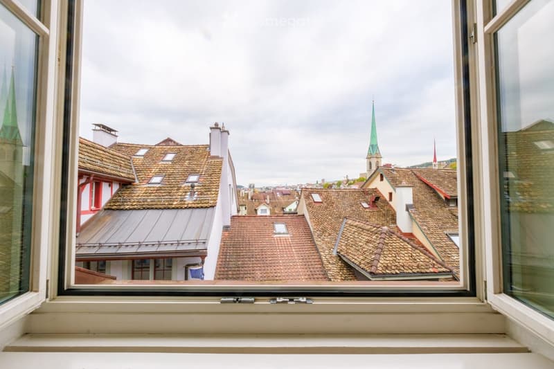 View from a window showing a cityscape with traditional red-tiled roofs, chimneys, and a distant church spire.