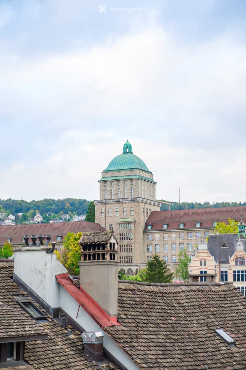 A view of a large, historic building with a green dome and surrounding structures, featuring multiple chimneys and tiled roofs.