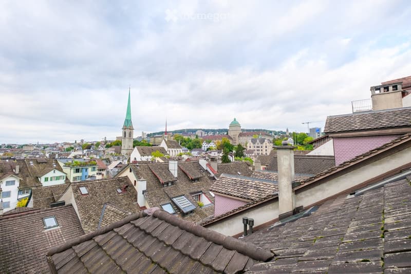 Panoramic view of a cityscape with numerous rooftops, chimneys, and distant spires under a cloudy sky.