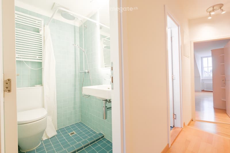 Modern bathroom with mint green tiles, white fixtures, and a glass-enclosed shower area. The room features a toilet, sink, and a showerhead with a handheld sprayer.