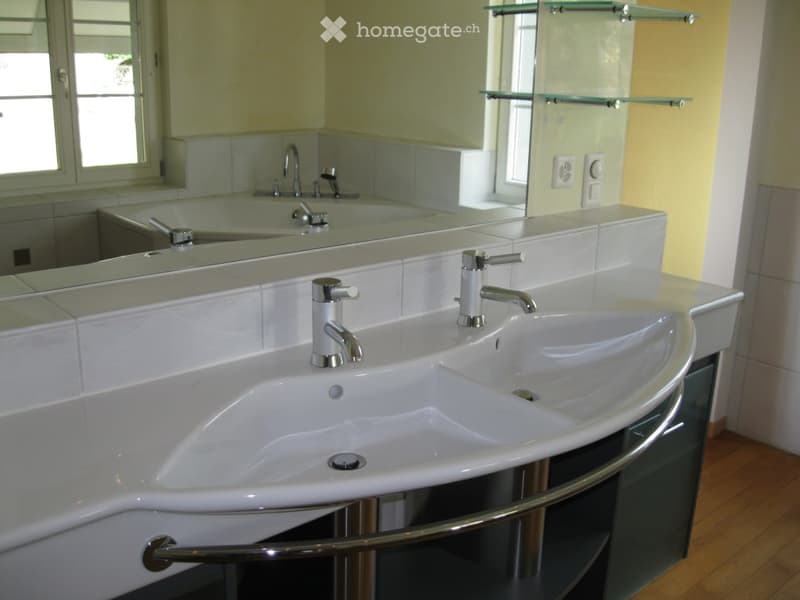 Modern bathroom with a large, curved white sink, chrome faucets, a large mirror, and glass shelves above the sink.