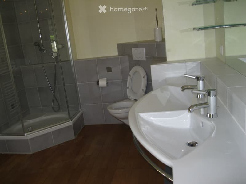 Modern bathroom with a white sink, chrome faucet, toilet, glass-enclosed shower, and a mirror above the sink.