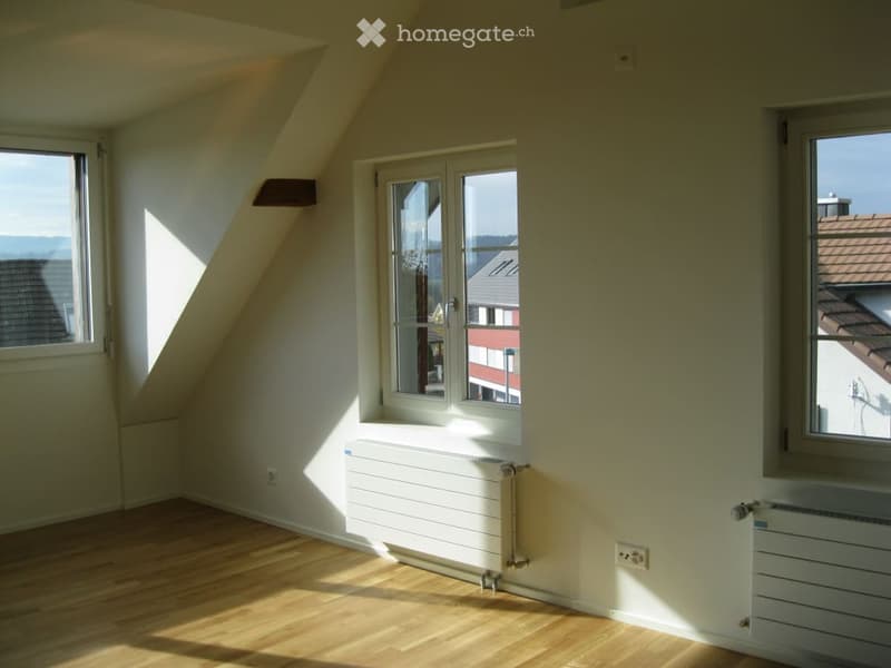 Empty attic room with wooden flooring, white walls, multiple windows, and radiators. No furniture or equipment present.