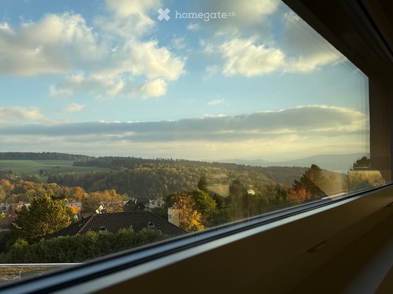 View from a balcony or terrace showing a scenic landscape with trees, fields, and distant hills under a partly cloudy sky.