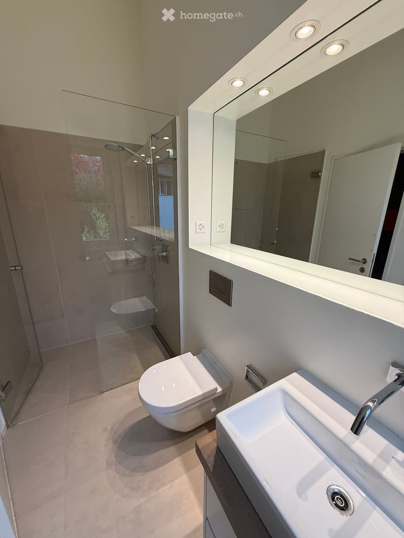Modern bathroom with a toilet, sink, large mirror, and a glass-enclosed shower area.