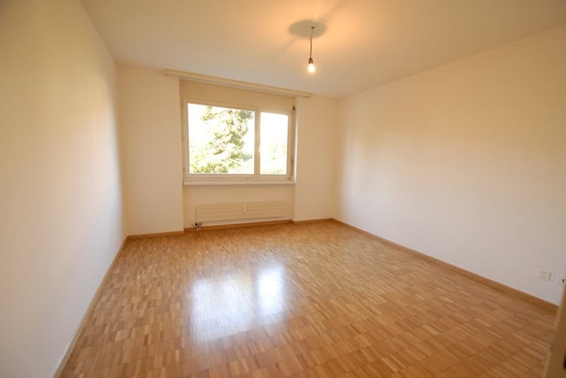 Grosse 2-Zimmerwohung in ruhiger, grüner Umgebung (4)