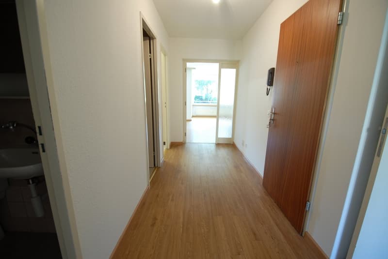 Grosse 2-Zimmerwohung in ruhiger, grüner Umgebung (6)