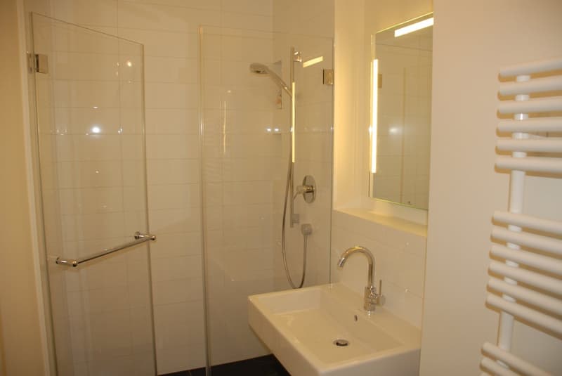 Moderne 2-Z'Whg mitten im Zentrum von Basel (10)
