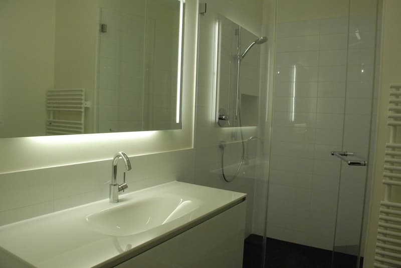 Grosse 3½-ZWG nahe Innenstadt (8)