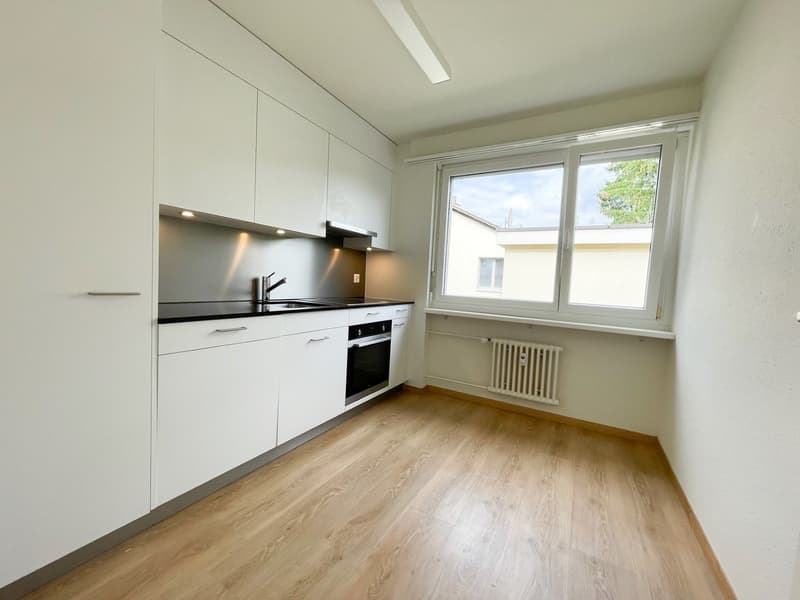 An ruhiger Lage in Aesch (2)