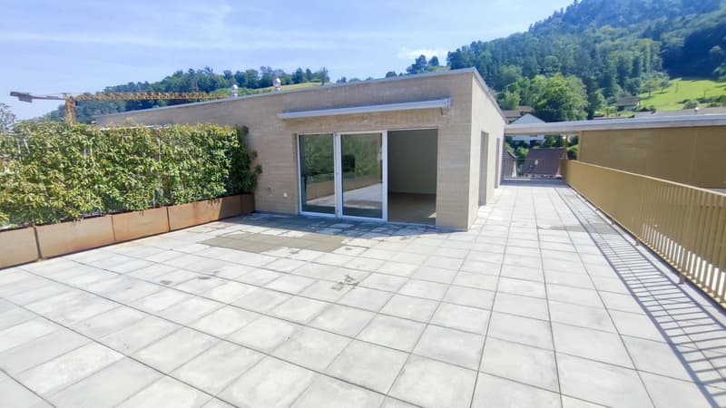 Moderne 2½-Zimmer-Attikawohnung mit grosszügiger Terrasse in Waldenburg (2)