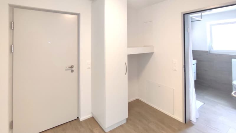 Moderne 2½-Zimmer-Attikawohnung mit grosszügiger Terrasse in Waldenburg (7)