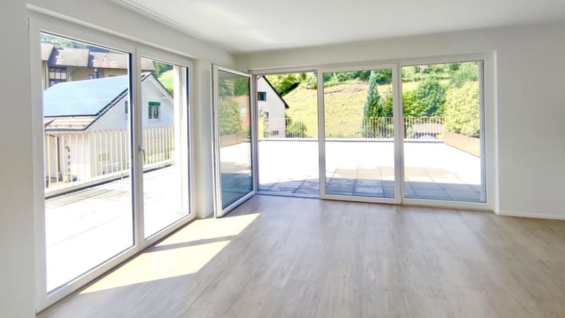 Moderne 2½-Zimmer-Attikawohnung mit grosszügiger Terrasse in Waldenburg (3)