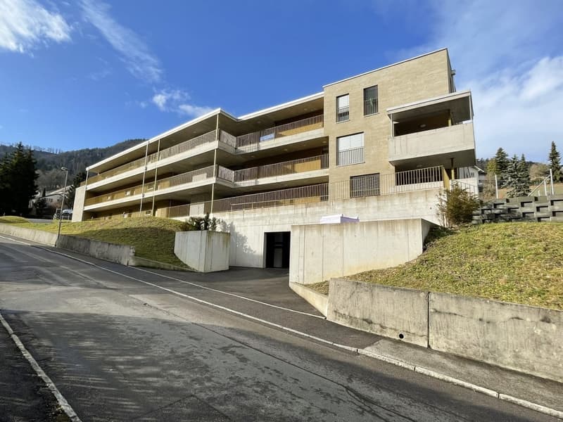 Moderne 2½-Zimmer-Attikawohnung mit grosszügiger Terrasse in Waldenburg (1)