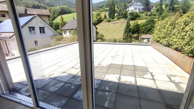 Moderne 2½-Zimmer-Attikawohnung mit grosszügiger Terrasse in Waldenburg (9)