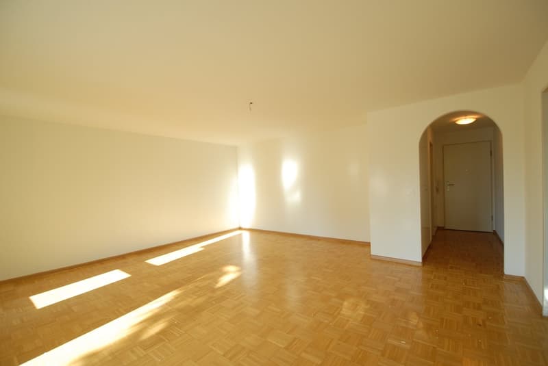 An sonniger, ruhiger Lage beim Dorfkern Oberwil (10)