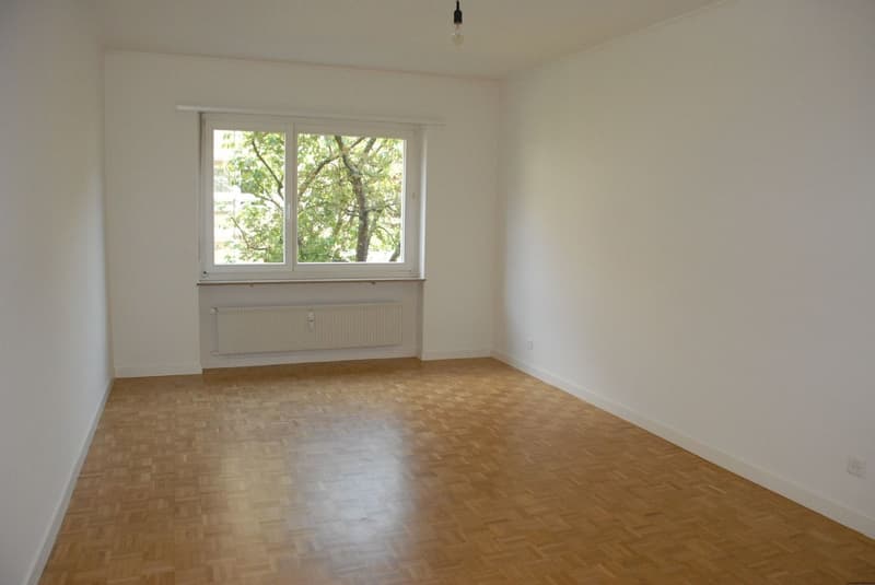 Grosse 3½-ZWG nahe Innenstadt (6)