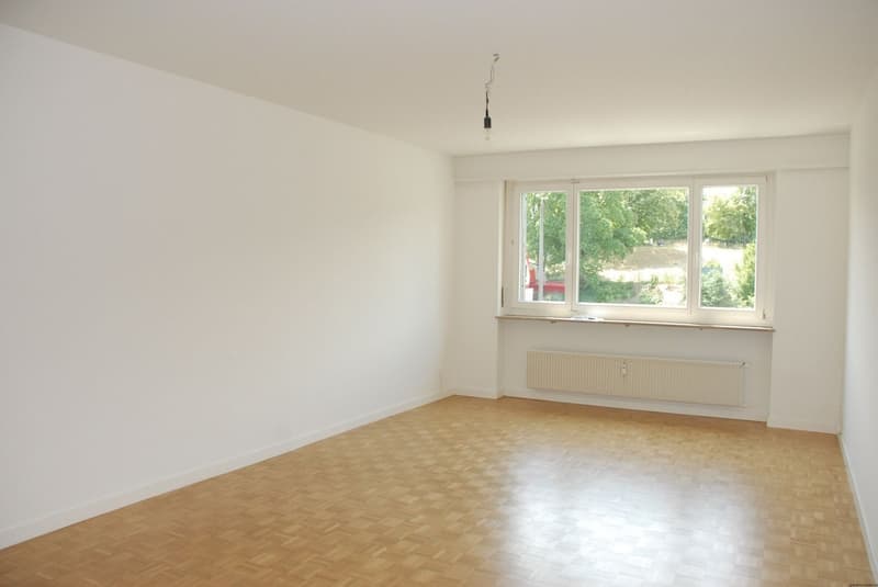 Grosse 3½-ZWG nahe Innenstadt (5)