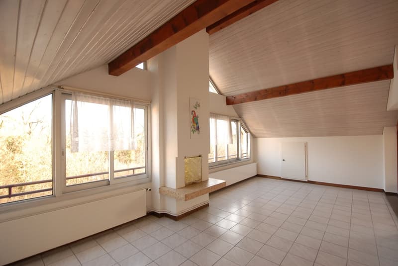 Grosszügige 4½-Zimmer-Dachwohnung mit Wintergarten & Cheminée in Reinach (4)