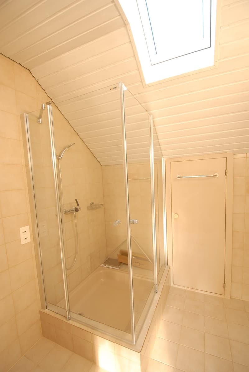 Grosszügige 4½-Zimmer-Dachwohnung mit Wintergarten & Cheminée in Reinach (8)