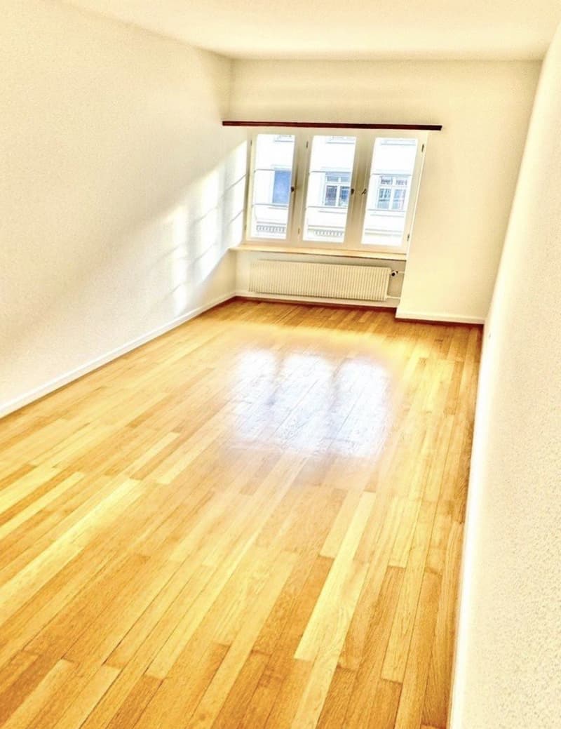 Traumhafte Wohnung mit Chemineé direkt am Rhein (12)