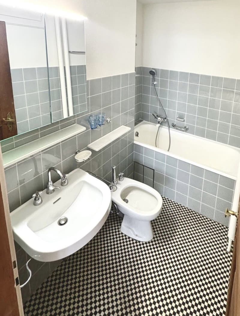 Traumhafte Wohnung mit Chemineé direkt am Rhein (9)