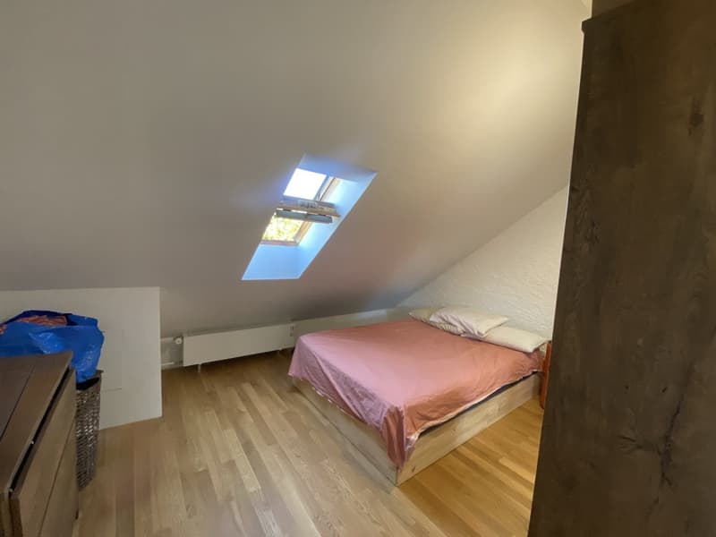 Gemütliche Dachwohnung im Gellert (11)
