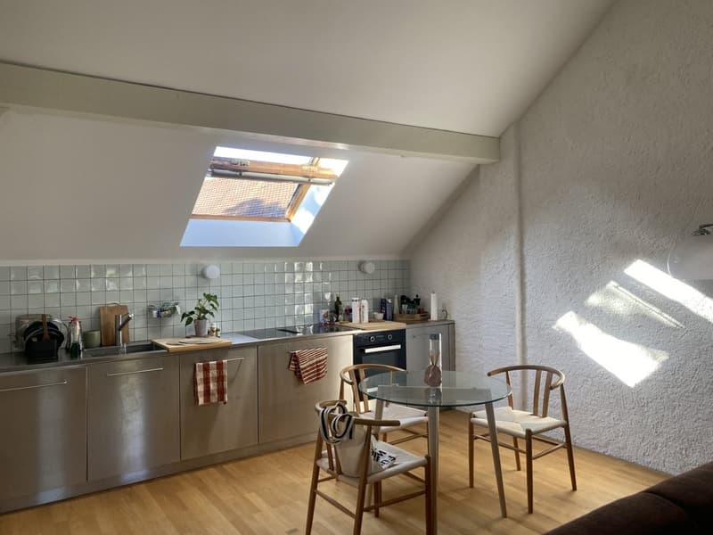 Gemütliche Dachwohnung im Gellert (10)