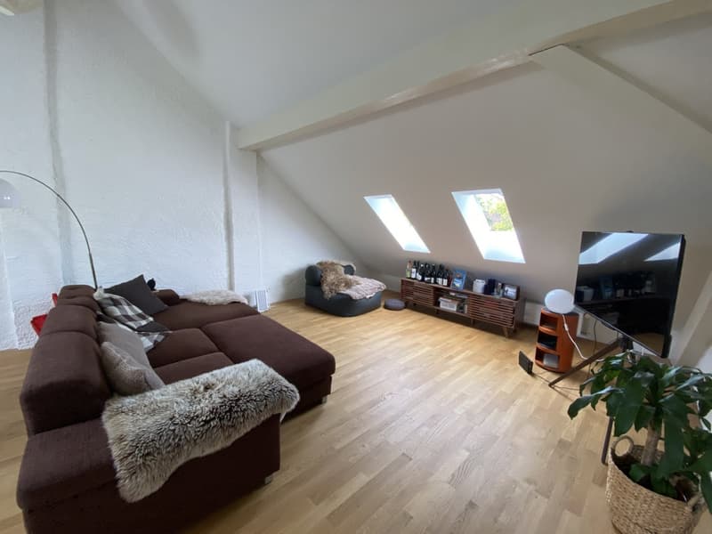 Gemütliche Dachwohnung im Gellert (12)