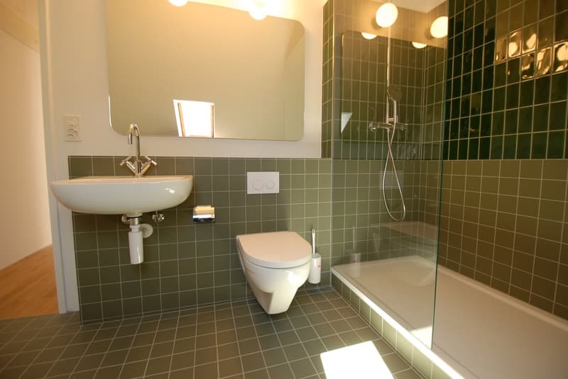 Gemütliche Dachwohnung im Gellert (6)