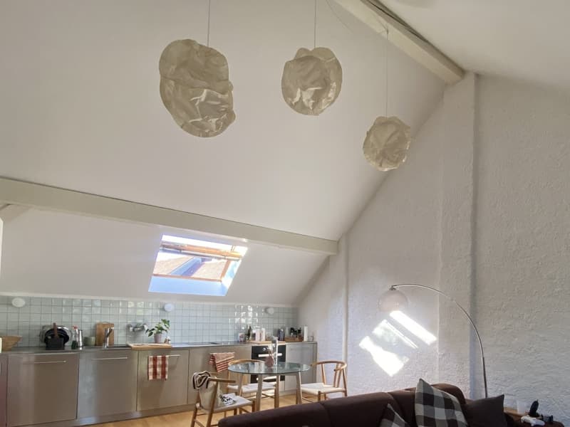 Gemütliche Dachwohnung im Gellert (9)