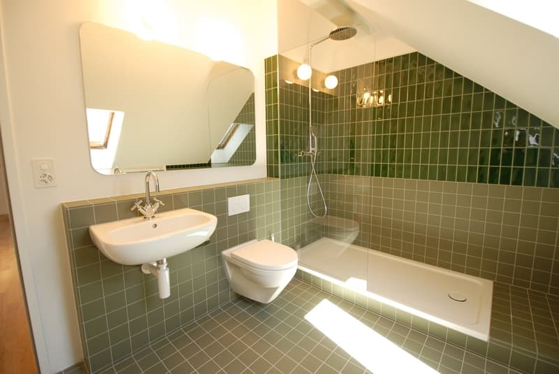 Gemütliche Dachwohnung im Gellert (5)