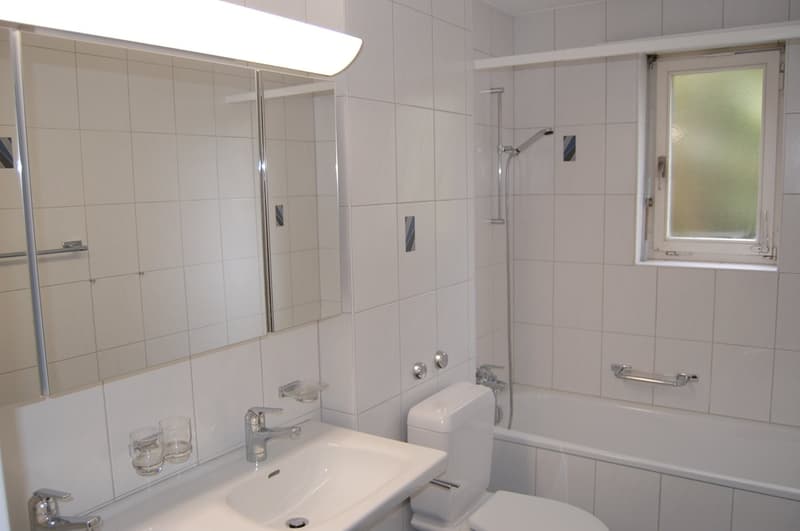 Schöne 4 Zimmerwohnung an exklusiver Lage (3)