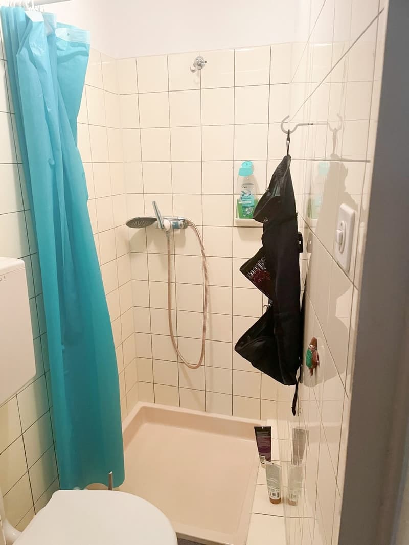 1-Z'Whg in grünem Hinterhof mitten im Kleinbasel (6)