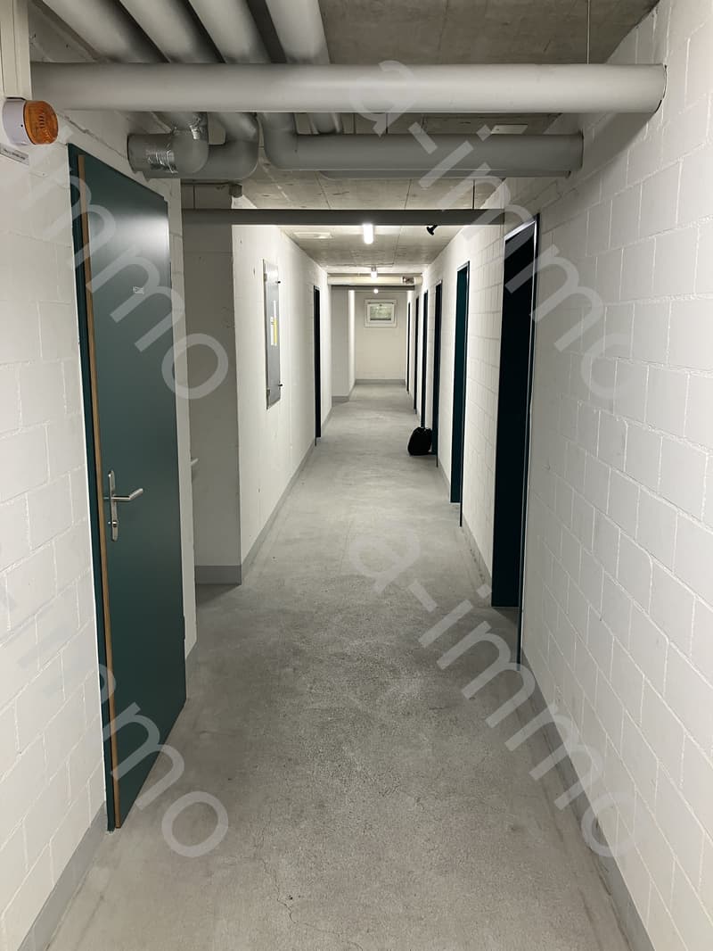 Disporaum / Hobbyraum / Bastelraum in Reinach zu vermieten (10)