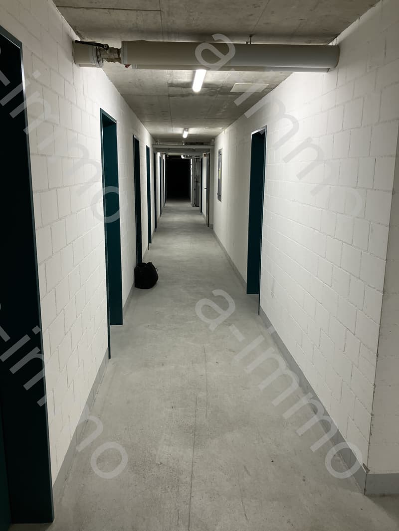 Disporaum / Hobbyraum / Bastelraum in Reinach zu vermieten (9)