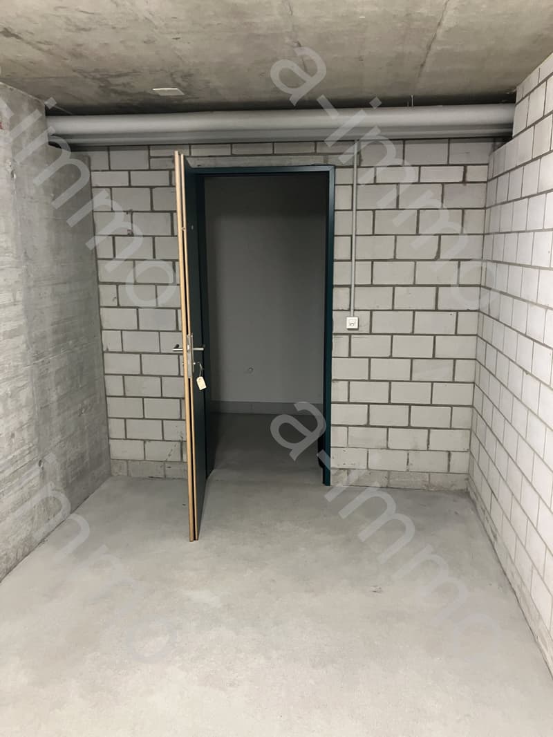 Disporaum / Hobbyraum / Bastelraum in Reinach zu verkaufen (4)