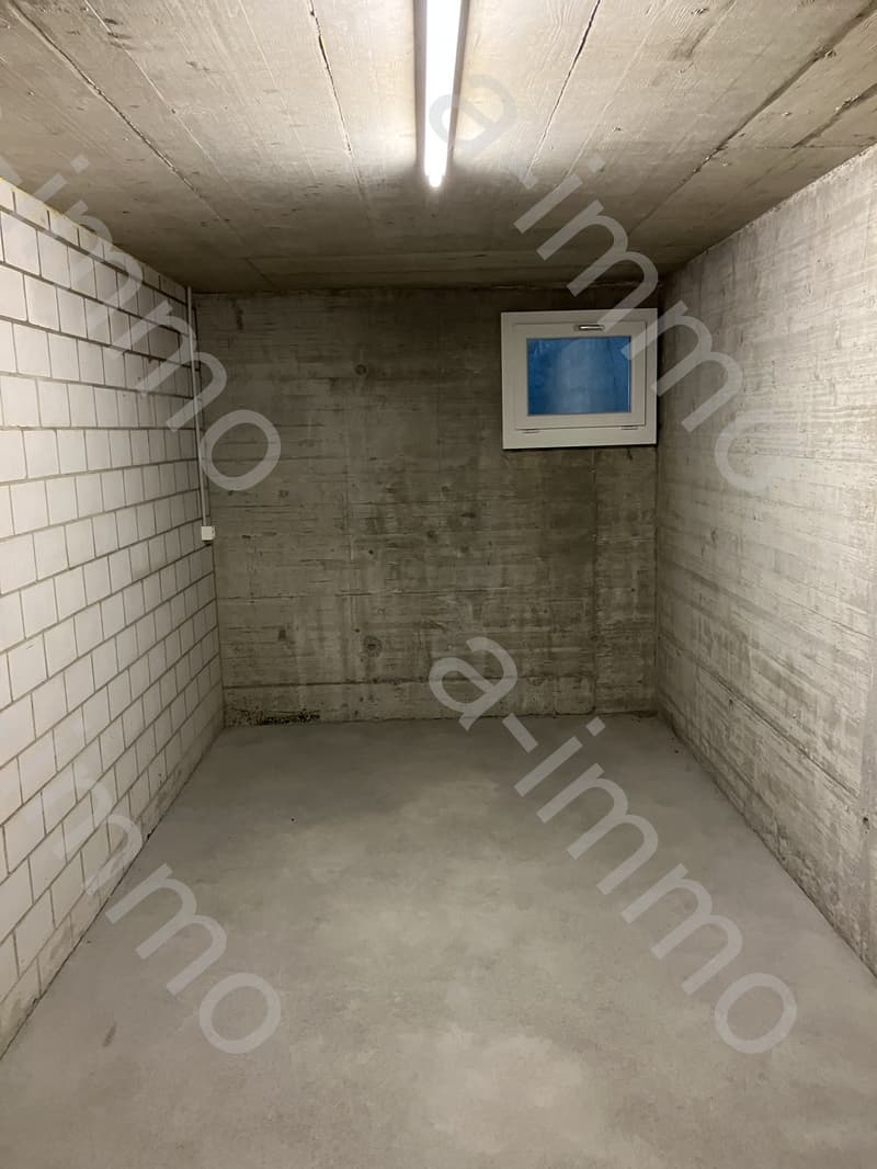 Disporaum / Hobbyraum / Bastelraum in Reinach zu verkaufen (1)