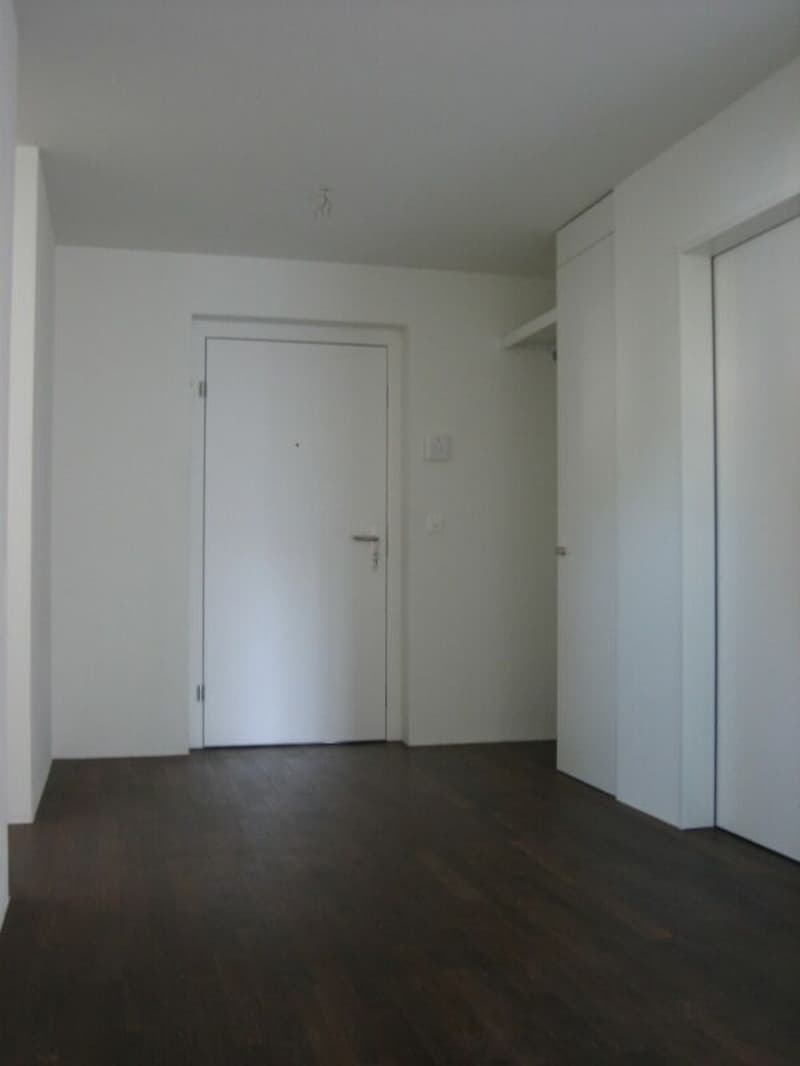 Grosszügige Maisonette-Attika an bester Lage - viel Platz für die ganze Familie (4)