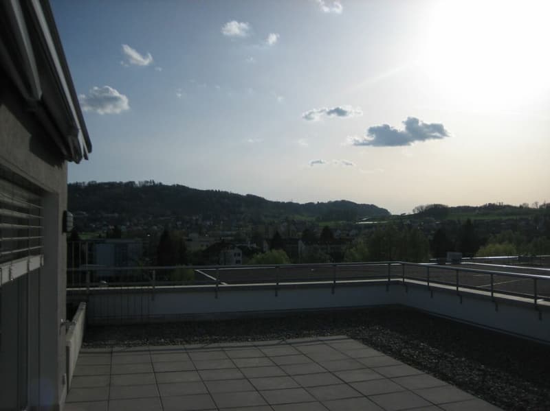 Grosszügige Maisonette-Attika an bester Lage - viel Platz für die ganze Familie (8)