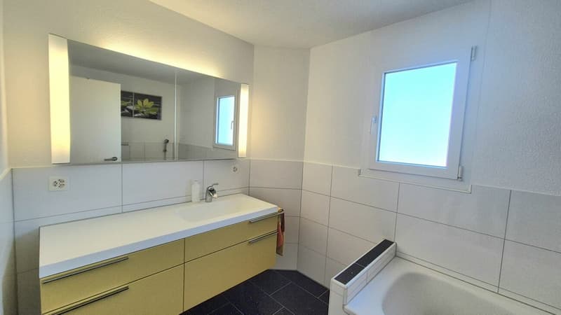 Traumhafte 4.5 Zi.-Whg. in Tennwil mit Seesicht (7)
