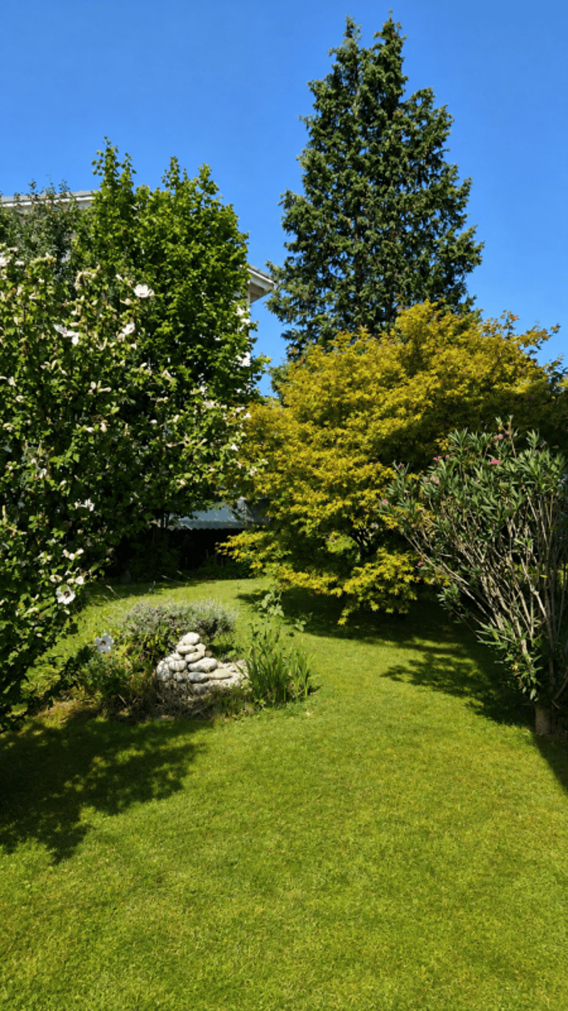 Herzige 3.5 Zimmer-Gartenwohnung in Strengelbach zu verkaufen (2)